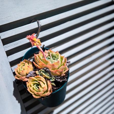 L' Evea Garden Le Relecq-Kerhuon Екстер'єр фото